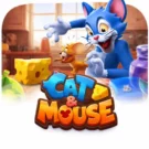 Cat & Mouse