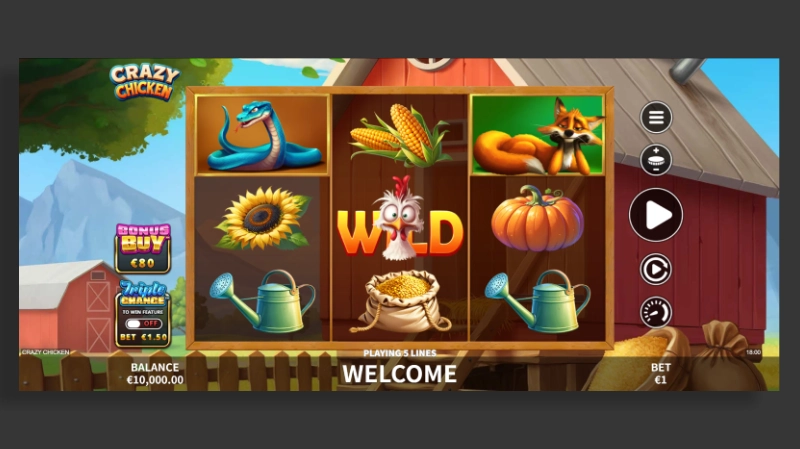 Mengenal Crazy Chicken dari SkyWind