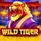 Wild Tiger