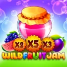 Wild Fruit Jam