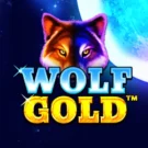 Wolf Gold